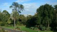 /album/paseo-por-la-ciudad-/botanic-garden-2-jpg/